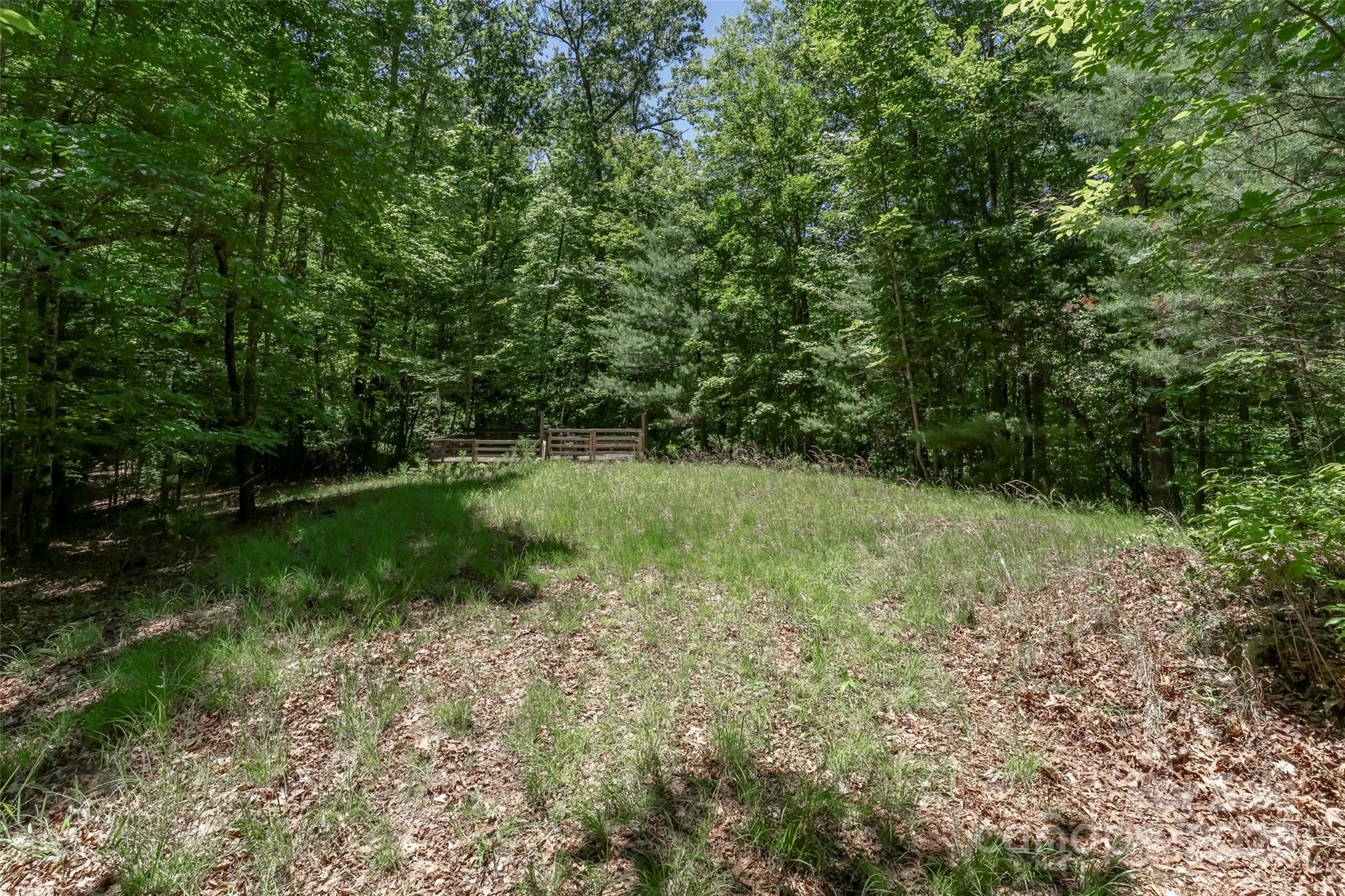 Tbd Girl Scout Camp Road Brevard, NC 28712 - Photo 26 of 35