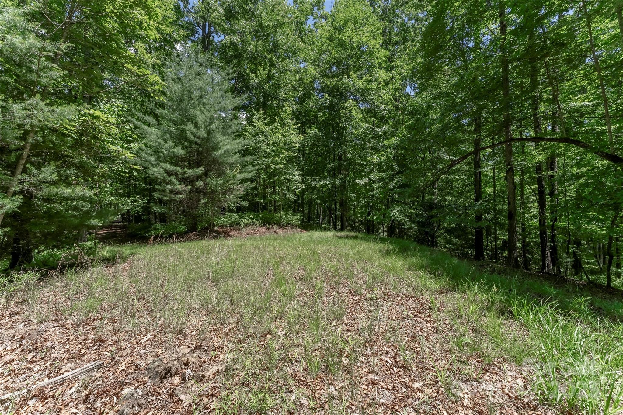 Tbd Girl Scout Camp Road Brevard, NC 28712 - Photo 27 of 35