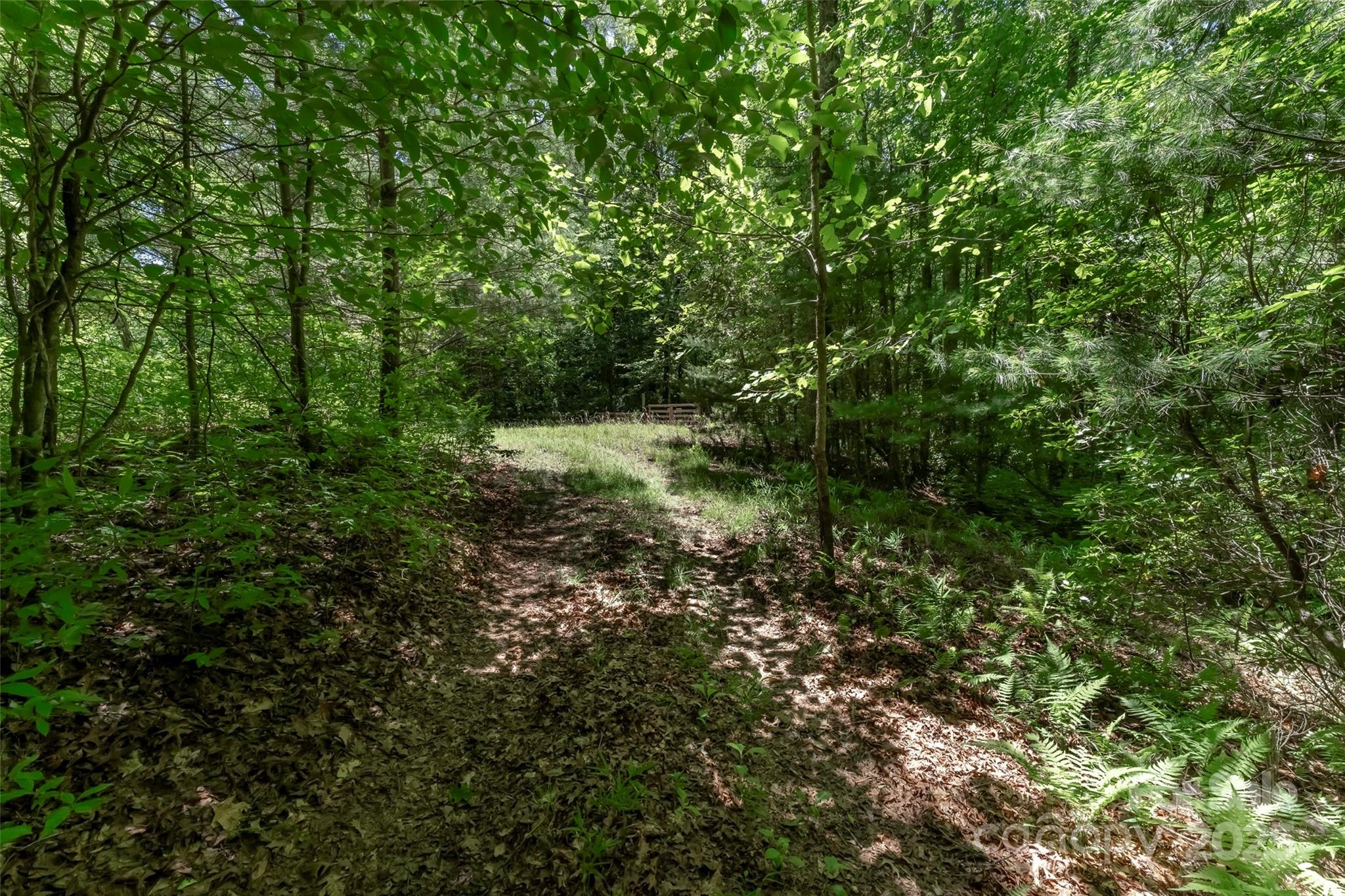 Tbd Girl Scout Camp Road Brevard, NC 28712 - Photo 28 of 35