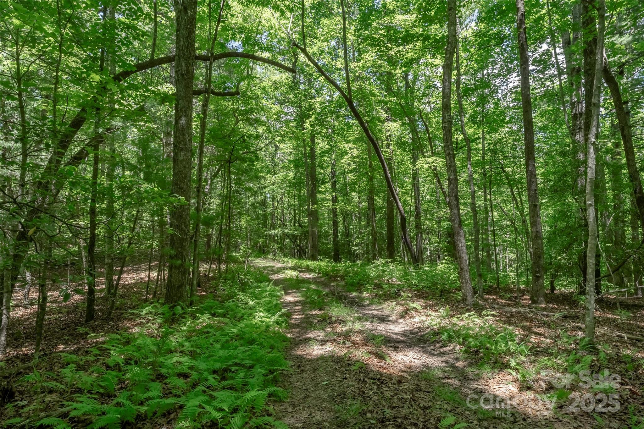 Tbd Girl Scout Camp Road Brevard, NC 28712 - Photo 29 of 35