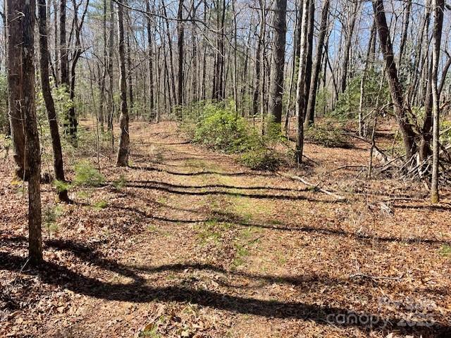 Tbd Girl Scout Camp Road Brevard, NC 28712 - Photo 31 of 35