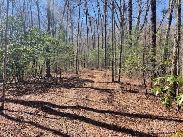 Tbd Girl Scout Camp Road Brevard, NC 28712 - Photo 32 of 35