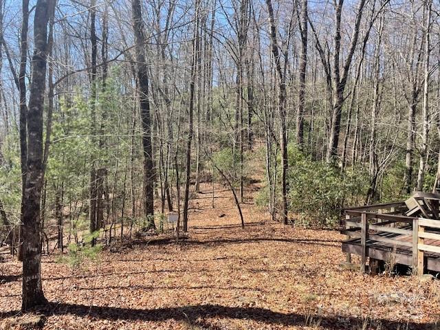 Tbd Girl Scout Camp Road Brevard, NC 28712 - Photo 33 of 35