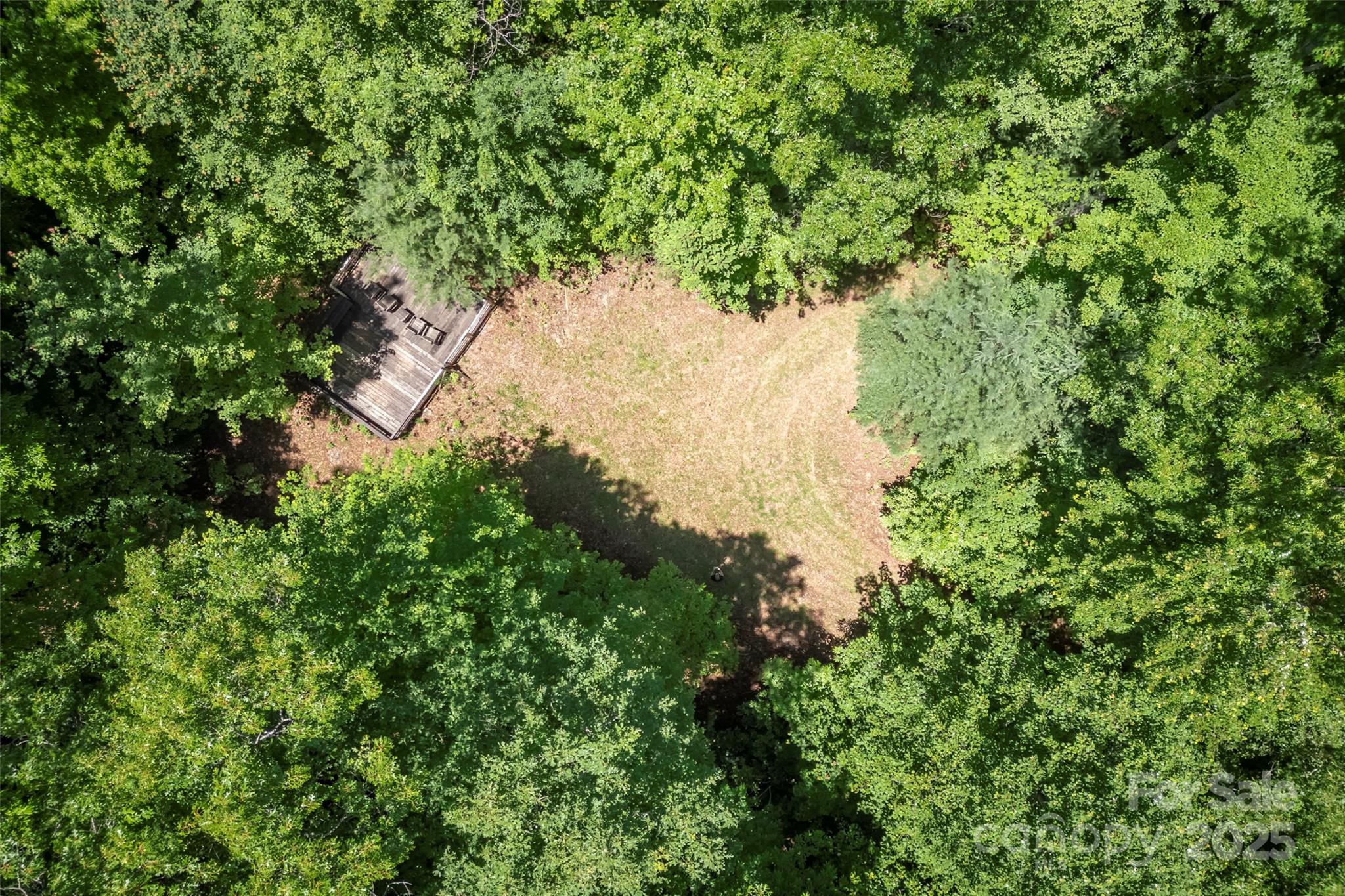 Tbd Girl Scout Camp Road Brevard, NC 28712 - Photo 4 of 35