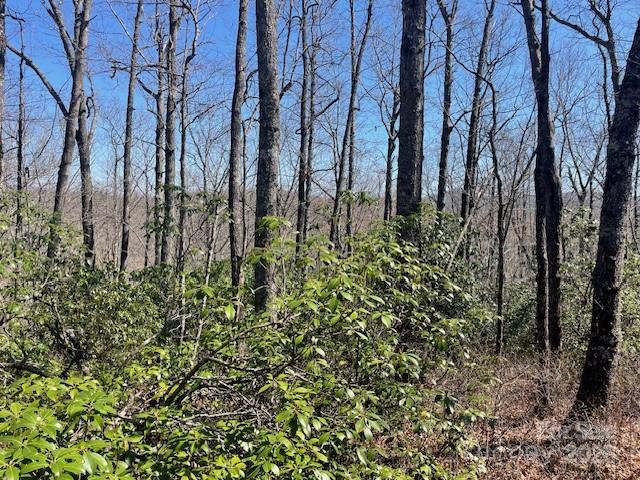 Tbd Girl Scout Camp Road Brevard, NC 28712 - Photo 5 of 35