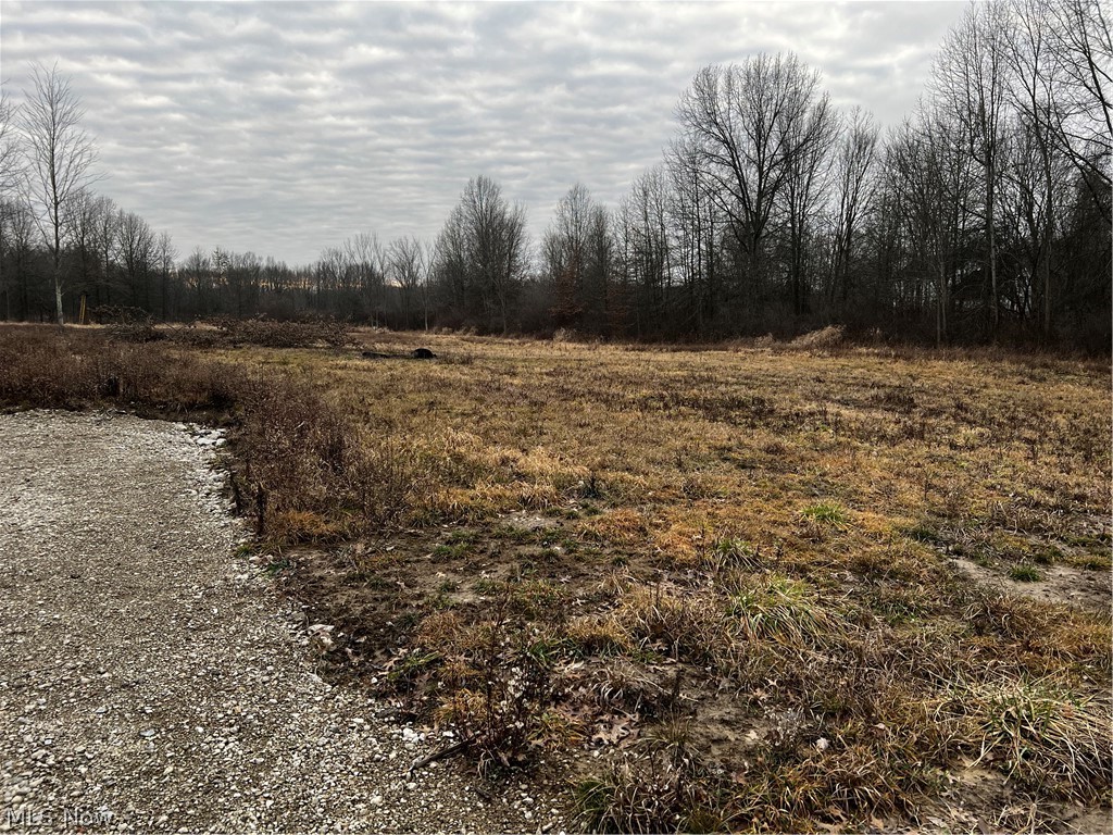 10016 Cable Line Road Newton Falls, OH 44444 - Photo 8 of 29