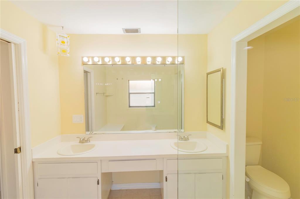 3908 Rosedale Drive Brandon, FL 33511 - Photo 24 of 44 a bathroom with a sink and a mirror