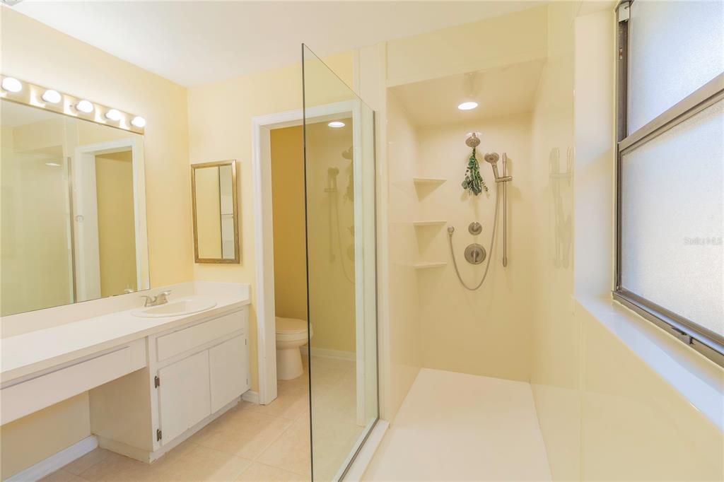 3908 Rosedale Drive Brandon, FL 33511 - Photo 25 of 44 a bathroom with a shower sink and mirror
