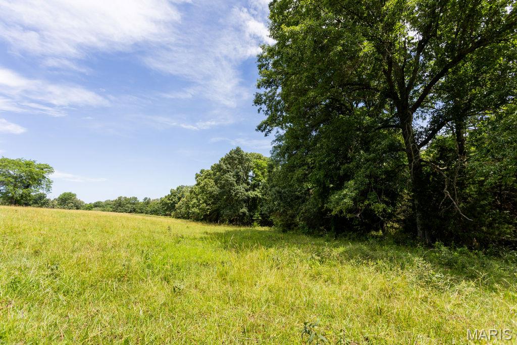 30-ac South 220th Road Half Way, MO 65663 - Photo 20 of 49