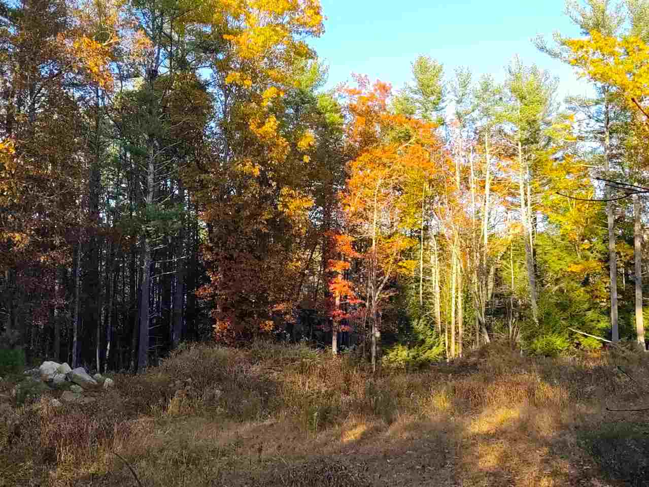 28 Pond Parish Road Amherst, NH 03031 - Photo 8 of 8