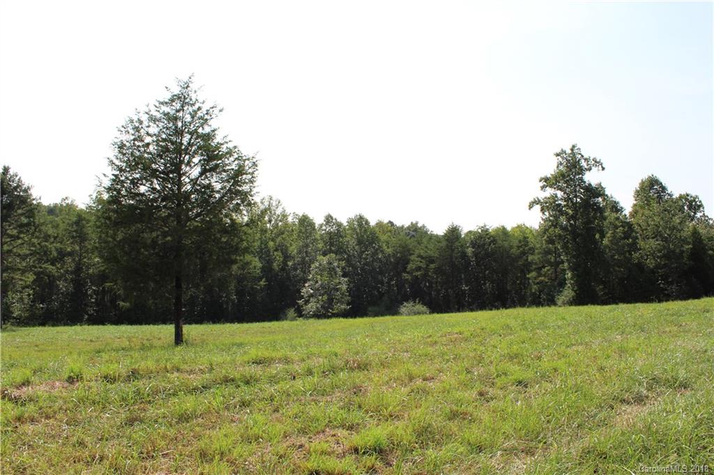 Lot 2 Edwards Road Columbus, NC 28722 - Photo 14 of 18 a view of backyard with green space