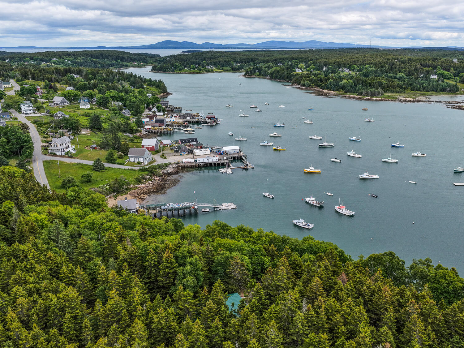 313 Harbor Road Swans Island, ME 04685 - Photo 46 of 50 dji_fly_20260620_131706_0027_17819762991