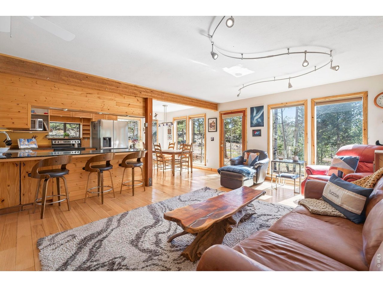 1856 Ridge Road Nederland, CO 80466 - Photo 5 of 43 Wall of windows bring in the natural light