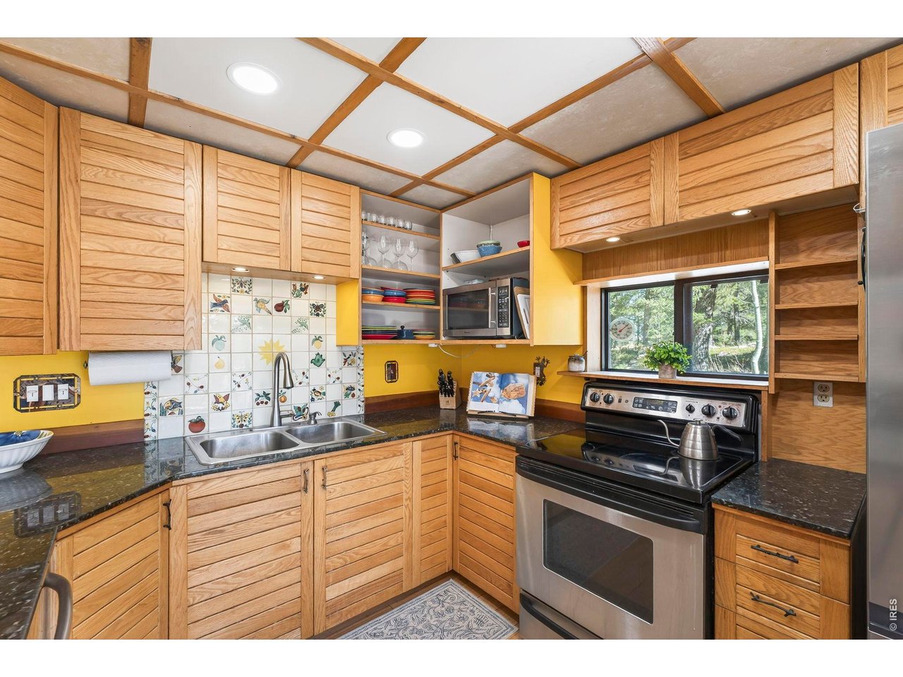 1856 Ridge Road Nederland, CO 80466 - Photo 9 of 43 SS appliance