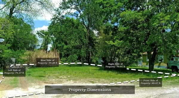 a view of a park with large trees