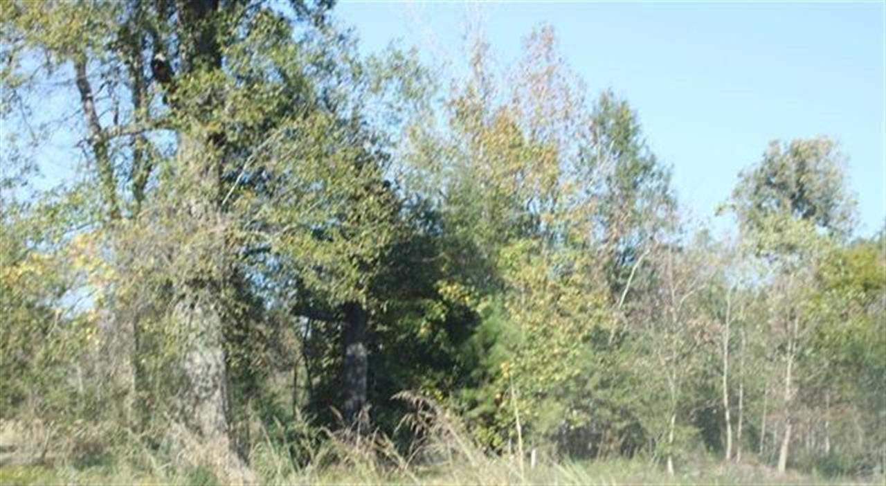 0 Curtis Road Orange, TX 77630 - Photo 1 of 1