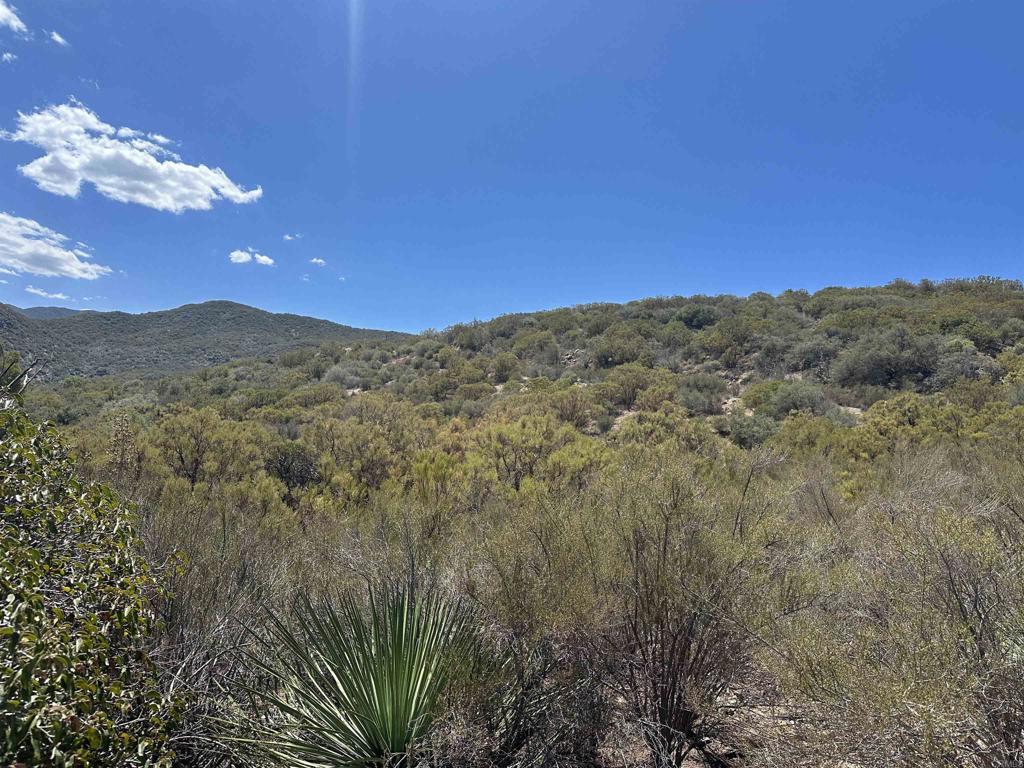 59125 Rim Rock Road Anza, CA 92539 - Photo 4 of 8