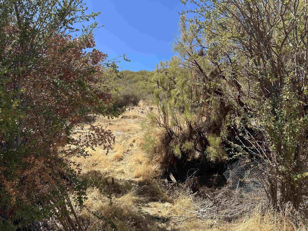 59125 Rim Rock Road Anza, CA 92539 - Photo 8 of 8