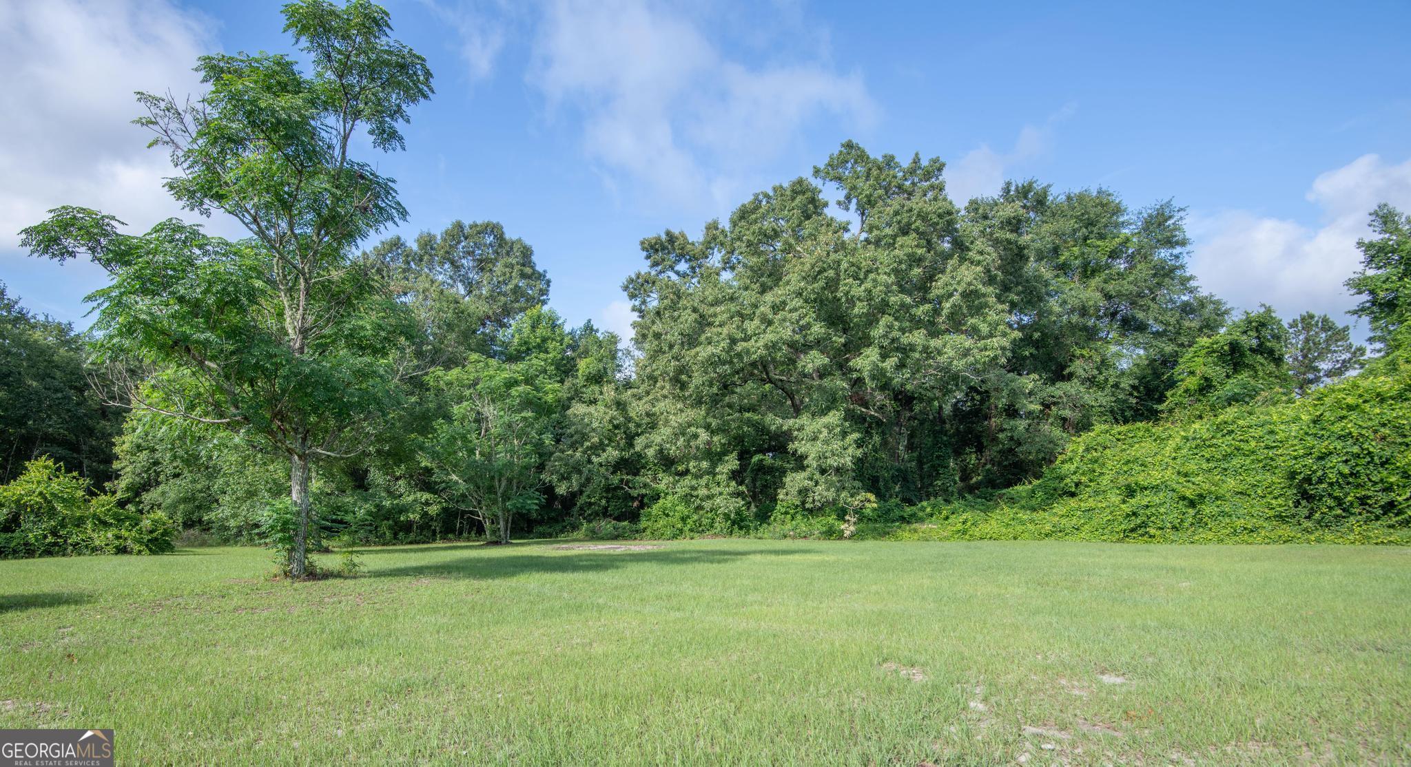 938 Rifle Road Sylvania, GA 30467 - Photo 27 of 39