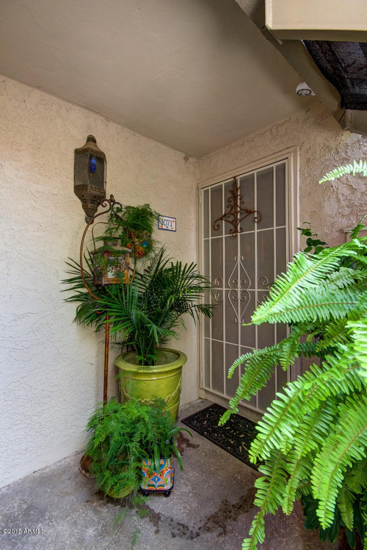 10410 North Cave Creek Road, Unit 1071 Phoenix, AZ 85020 - Photo 13 of 38 Cave Creek (34)