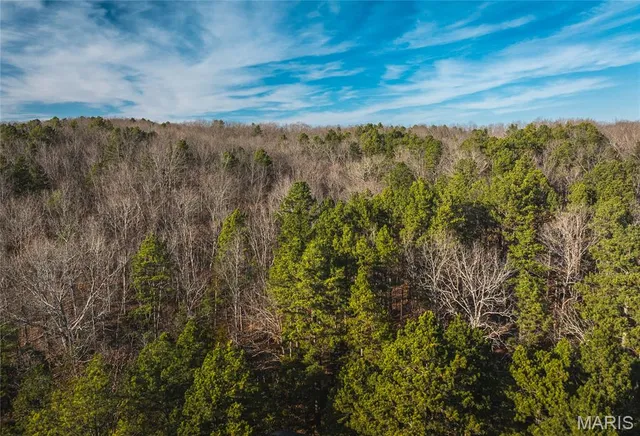 $728,700 | 0 Wayne 224a, Greenville, MO 63944