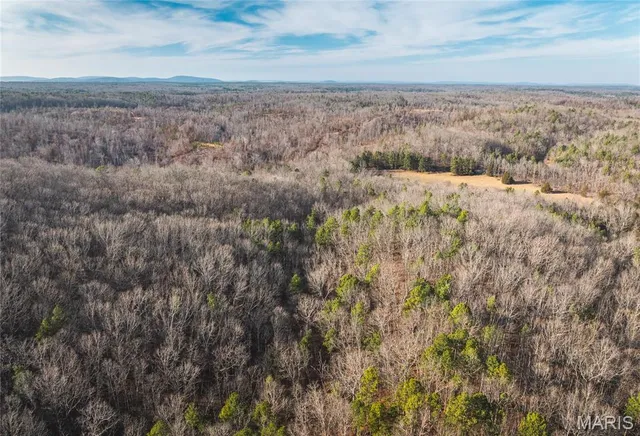 $728,700 | 0 Wayne 224a, Greenville, MO 63944