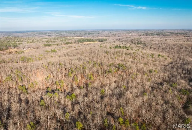 $728,700 | 0 Wayne 224a, Greenville, MO 63944