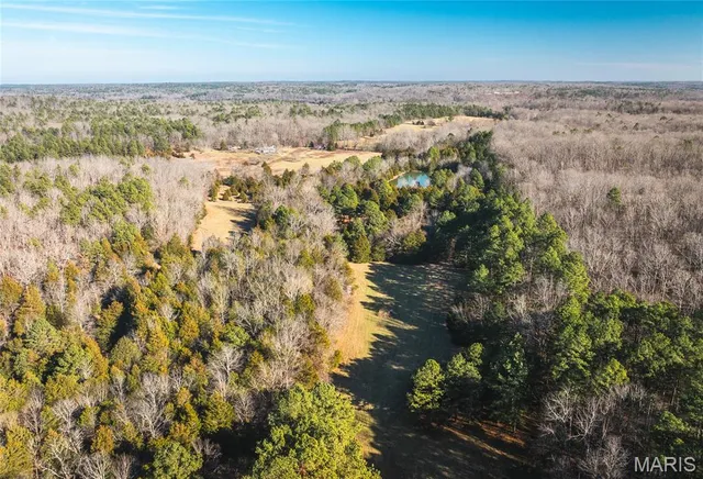 $728,700 | 0 Wayne 224a, Greenville, MO 63944