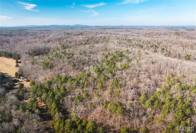 $728,700 | 0 Wayne 224a, Greenville, MO 63944