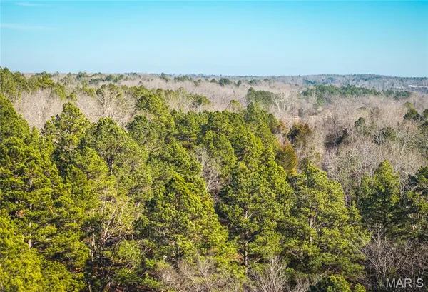 $728,700 | 0 Wayne 224a, Greenville, MO 63944