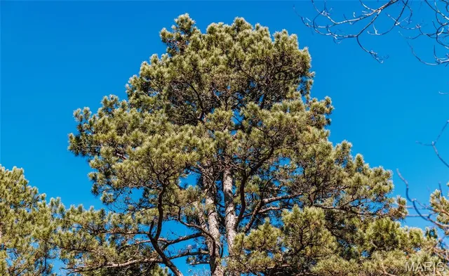 $728,700 | 0 Wayne 224a, Greenville, MO 63944