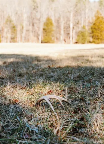 $728,700 | 0 Wayne 224a, Greenville, MO 63944