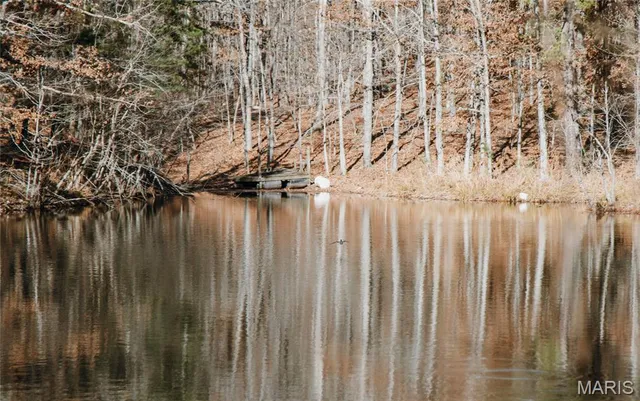 $728,700 | 0 Wayne 224a, Greenville, MO 63944