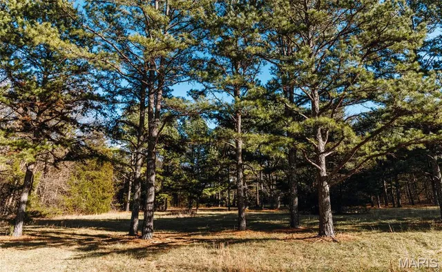 $728,700 | 0 Wayne 224a, Greenville, MO 63944