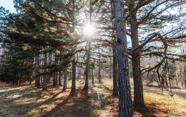 $728,700 | 0 Wayne 224a, Greenville, MO 63944