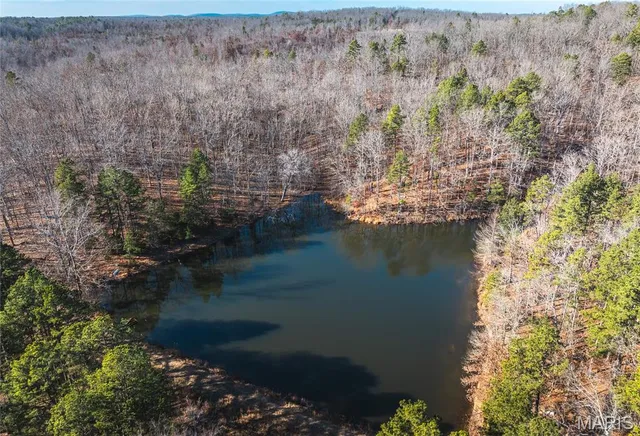 $728,700 | 0 Wayne 224a, Greenville, MO 63944