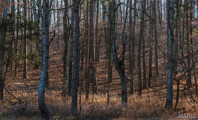 $728,700 | 0 Wayne 224a, Greenville, MO 63944