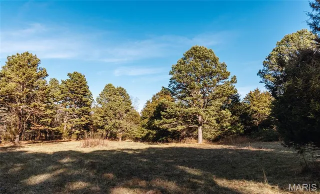 $728,700 | 0 Wayne 224a, Greenville, MO 63944