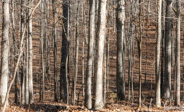 $728,700 | 0 Wayne 224a, Greenville, MO 63944