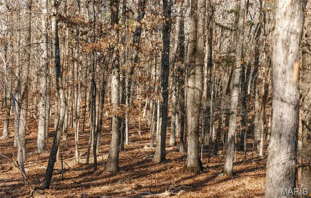 $728,700 | 0 Wayne 224a, Greenville, MO 63944