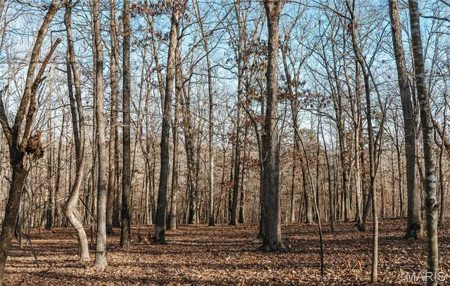 $728,700 | 0 Wayne 224a, Greenville, MO 63944