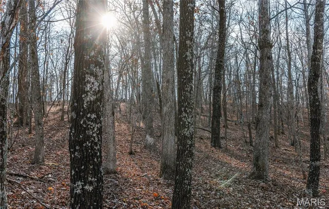 $728,700 | 0 Wayne 224a, Greenville, MO 63944