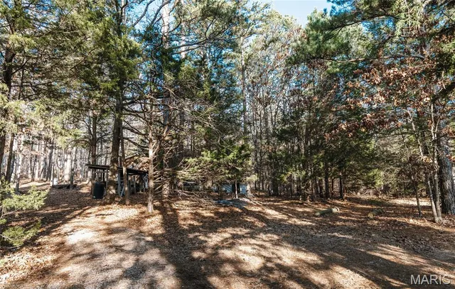 $728,700 | 0 Wayne 224a, Greenville, MO 63944