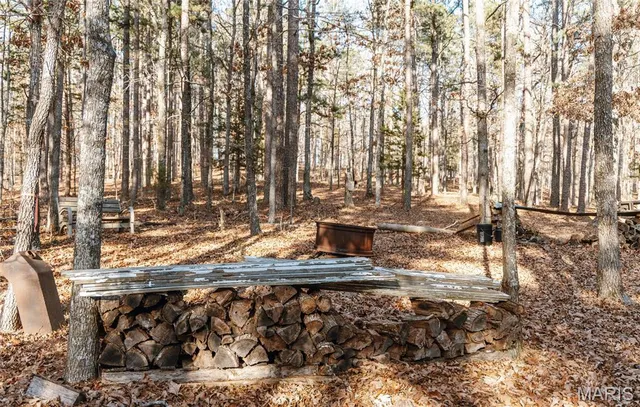 $728,700 | 0 Wayne 224a, Greenville, MO 63944