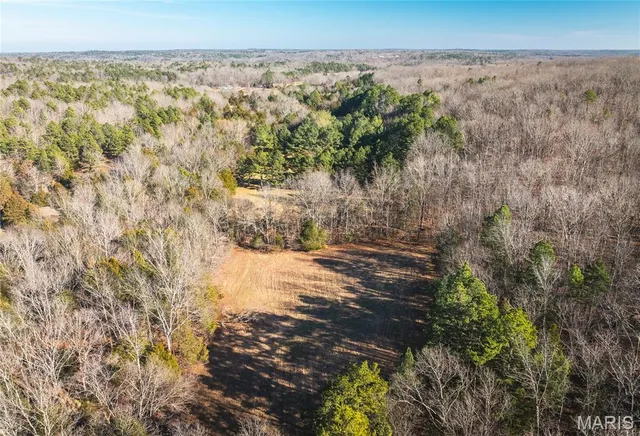 $728,700 | 0 Wayne 224a, Greenville, MO 63944