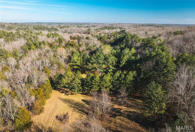 $728,700 | 0 Wayne 224a, Greenville, MO 63944