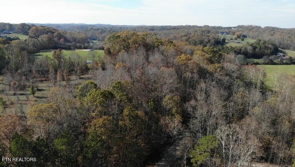 11900 Watkins Road East Loudon, TN 37774 - Photo 5 of 9 tempImagedxlhxA