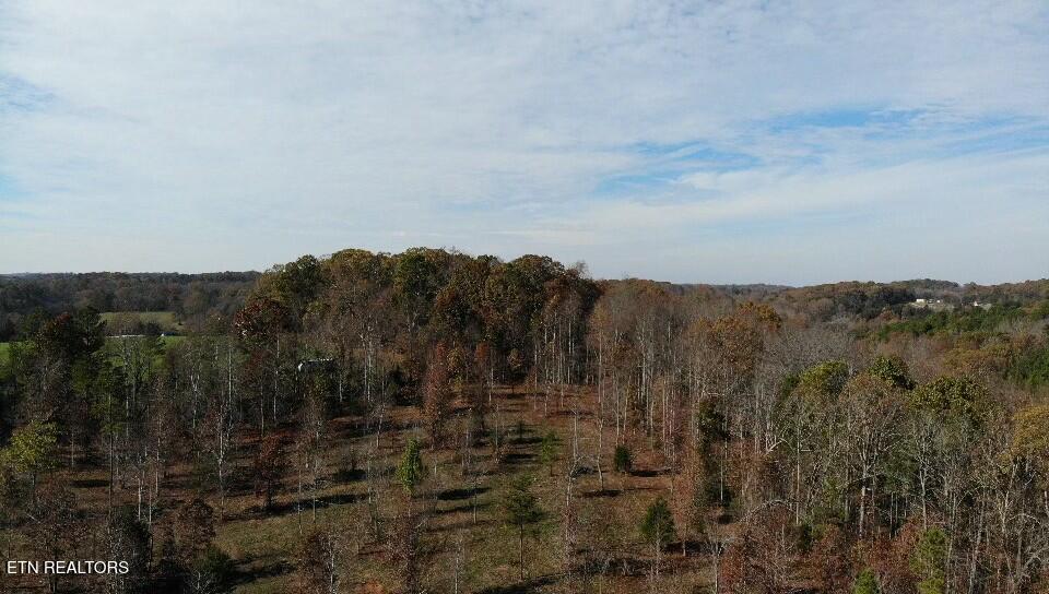 11900 Watkins Road East Loudon, TN 37774 - Photo 6 of 9 tempImagecXd7Nu