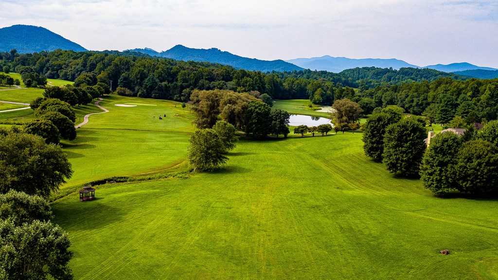 Lot 77 Licklog Ridge Hayesville, NC 28904 - Photo 11 of 30