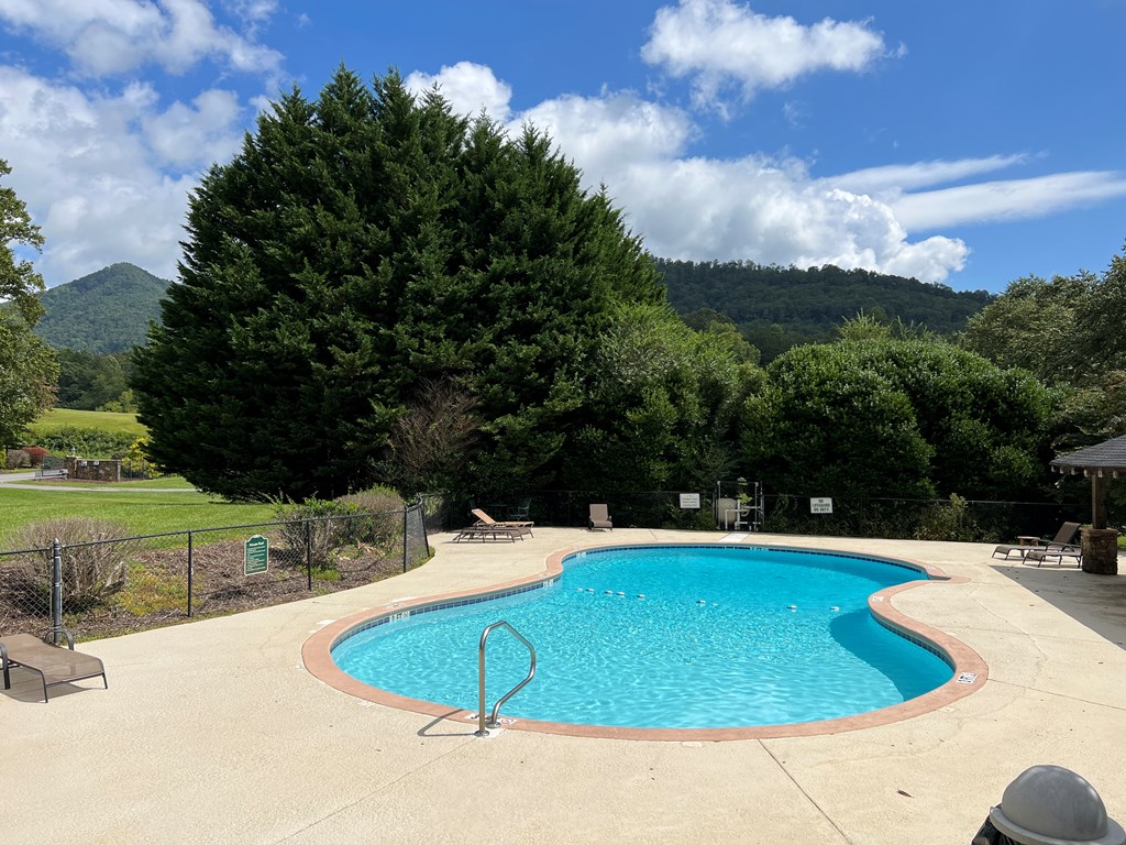Lot 77 Licklog Ridge Hayesville, NC 28904 - Photo 8 of 30